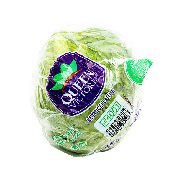 Fresh Lettuce Head
