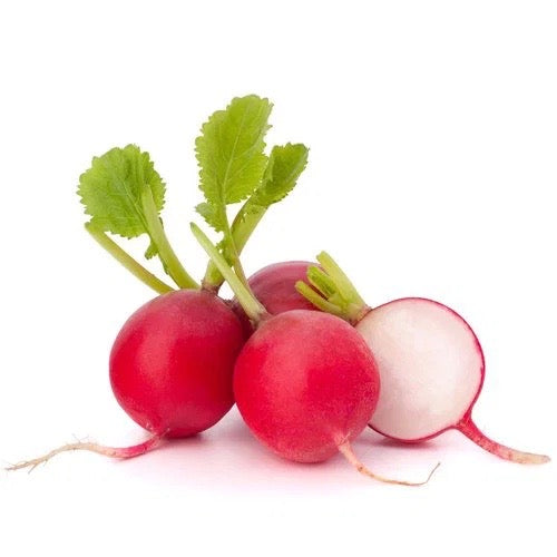 Radish