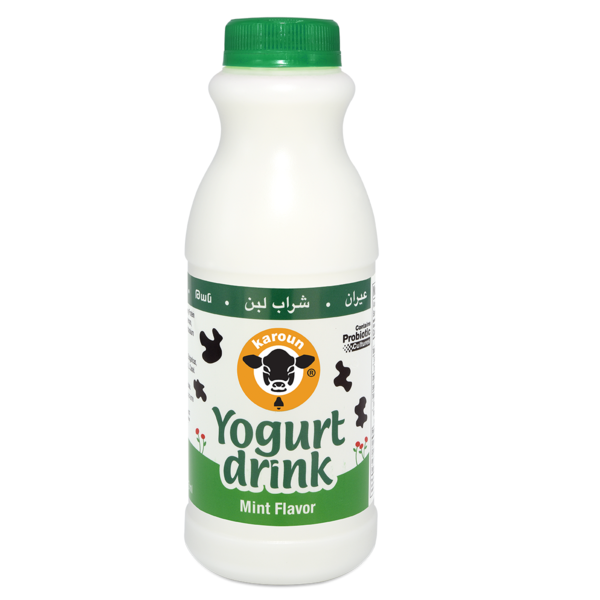 Karoun Yogurt Drink, Mint Flavor