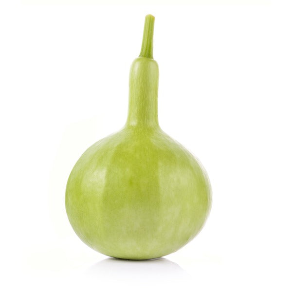 Calabash Gourd