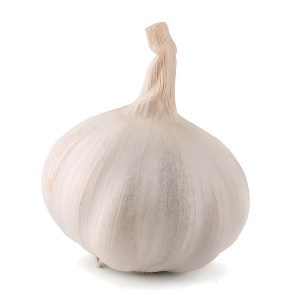 Garlic Bag
